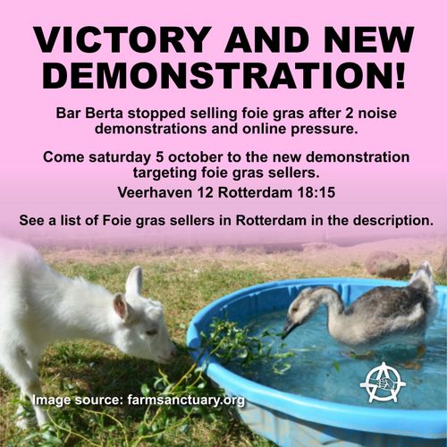 VICTORY AND NEW DEMONSTRATION!

Bar Berta stopped selling foie gras after 2 noise demonstrations and online pressure.

Come saturday 5 october to the new demonstration targeting foie gras sellers.
Veerhaven 12 Rotterdam 18:15

See a list of Foie gras sellers gras sellers in Rotterdam in the description.

Image source: farmsanctuary.org