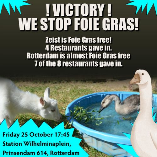 ! VICTORY !

WE STOP FOIE GRAS!

Zeist is Foie Gras free!
4 Restaurants gave in.
Rotterdam is almost Foie Gras free
7 of the 8 restaurants gave in.

Friday 25 October 17:45
Station Wilhelminaplein.
Prinsendam 614, Rotterdam