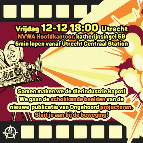 Vrijdag 12-12 18:00 Utrecht
NVWA Hoofdkantoor, Catharijnesingel 59
5 minuten lopen vanaf Utrecht Centraal Station

Samen maken we de dierenindustrie kapot!
We gaan de schokkende beelden van de nieuwe publicatie van Ongehoord projecteren.
Sluit je aan bij de beweging!