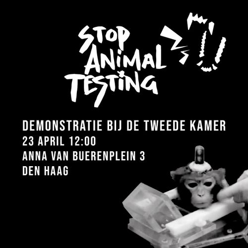 STOP ANIMAL TESTING!

DEMONSTRATIE BIJ DE TWEEDE KAMER 

23 APRIL 12:00 

ANNA VAN BUERENPLEIN 3 

DEN HAAG