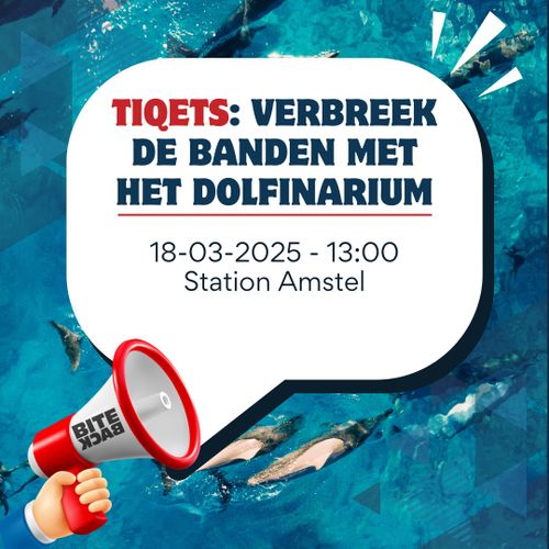 TIQETS: VERBREEK DE BANDEN MET HET DOLFINARIUM

18-03-2025 - 13:00
Station Amstel