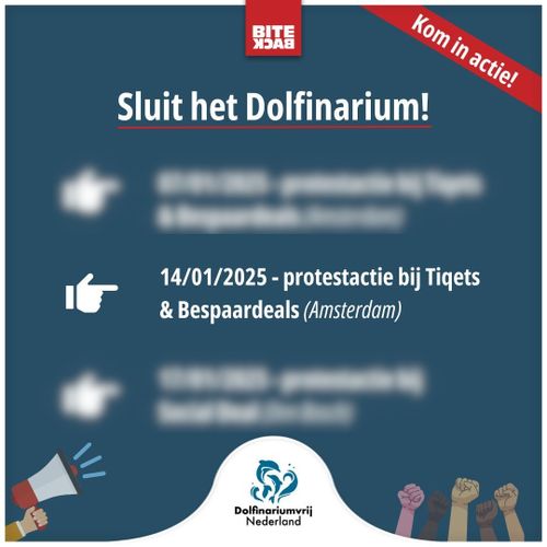 Bite Back

Kom in actie!

Sluit het Dolfinarium!

14/01/2025 - Protestactie bij Tiqets en Bespaardeals (Amsterdam)

Dolfinariumvrij Nederland

