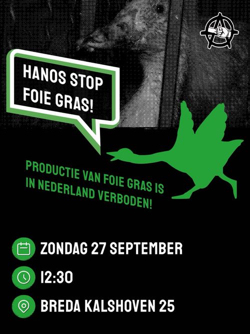 HANOS STOP
FOIE GRAS!

PRODUCTIE VAN FOIE GRAS IS
IN NEDERLAND VERBODEN!

ZONDAG 27 SEPTEMBER
12:30
BREDA KALSHOVEN 25