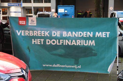 Banner van BITEBACK met VERBREEK DE BANDEN MET HET DOLFINARIUM, www.dolfinariumvrij.nl