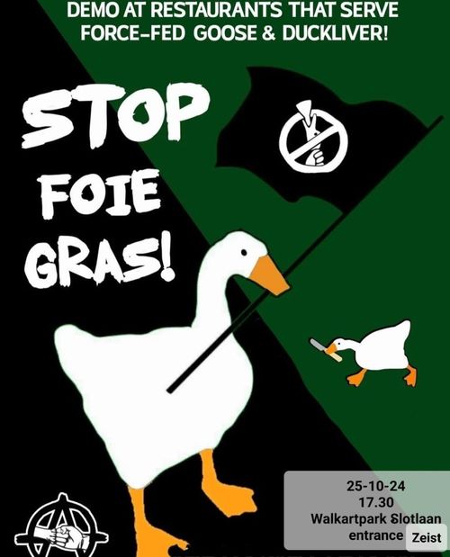 DEMO AT RESTAURANTS THAT SERVE FORCE-FED GOOSE & DUCKLIVER!

STOP FOIE GRAS!

25-10-24
17:30
Walkartpark Slotlaan
entrance Zeist