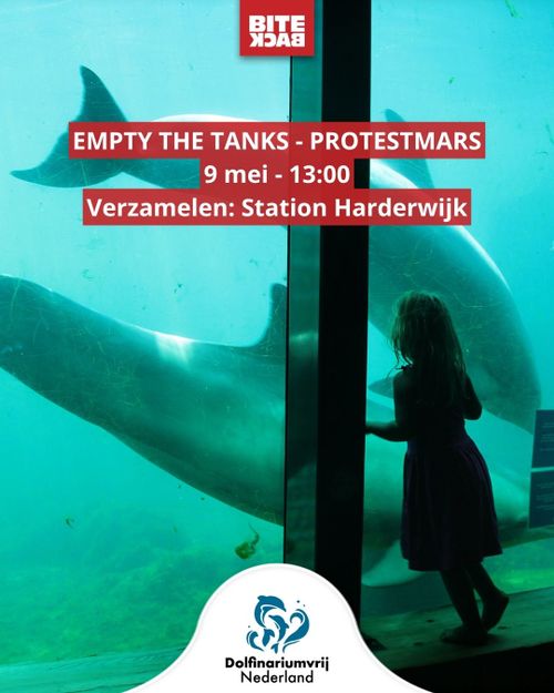 BITE BACK

EMPTY THE TANKS - PROTESTMARS
9 mei - 13:00
Verzamelen: Station Harderwijk

Dolfinariumvrij Nederland