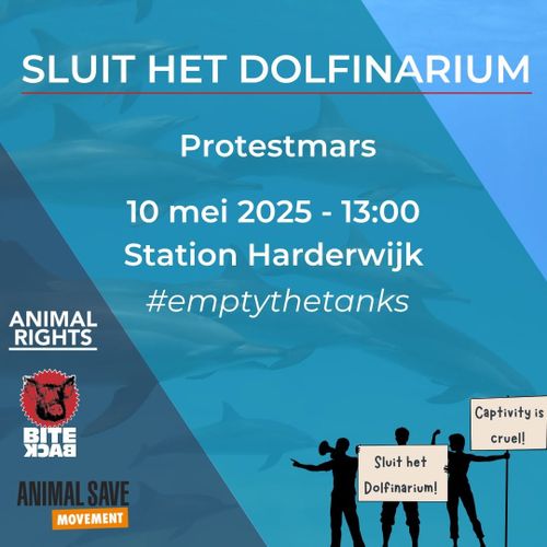 SLUIT HET DOLFINARIUM

Protestmars
10 mei 2025 - 13:00
Station Harderwijk
hashtag empty the tanks

Animal Rights
Bite Back
Animal Save Movement

Sluit het Dolfinarium!
Captivity is cruel!