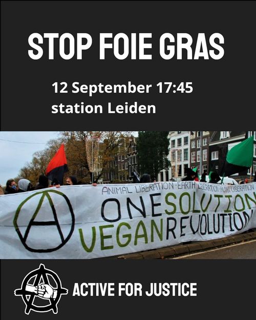 STOP FOIE GRAS
12 September 17:45
station Leiden

ACTIVE FOR JUSTICE