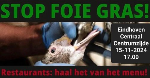 STOP FOIE GRAS!

Eindhoven Centraal Centrumzijde
15-11-2024 17:00

Restaurants: haal het van het menu!