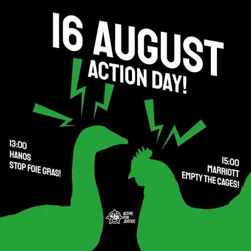 Silhouette of a duck or goose, and a chicken  

16 AUGUST
ACTION DAY!

13:00 
HANOS
STOP FOIE GRAS!

15:00
MARRIOTT
EMPTY THE CAGES!

ACTIVE FOR JUSTICE