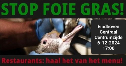 STOP FOIE GRAS

Eindhoven Centraal
Centrumzijde
6-12-2024
17:00